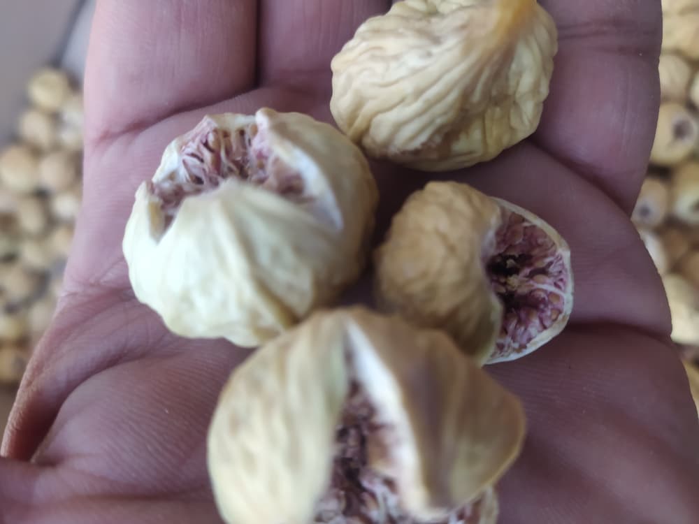 خرید انجیر آجیلی با بهترین قیمت و کیفیت + انجیر دهن باز